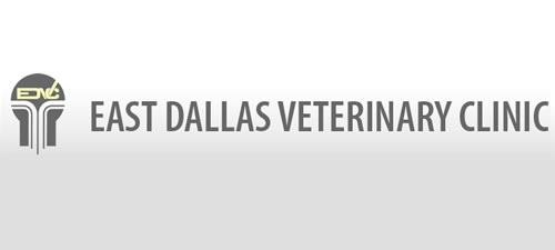 East Dallas Veterinary Clinic
