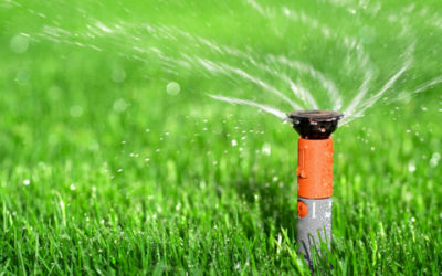 Dallas Water Utilities is Conducting FREE Automatic Irrigation System Check-Ups