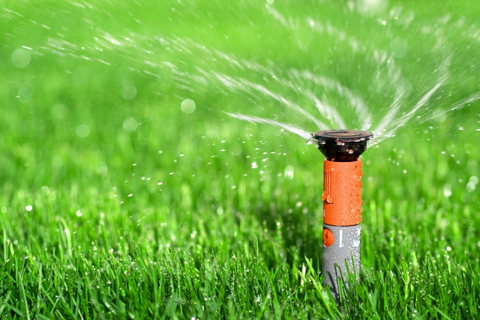 Dallas Water Utilities is Conducting FREE Automatic Irrigation System Check-Ups